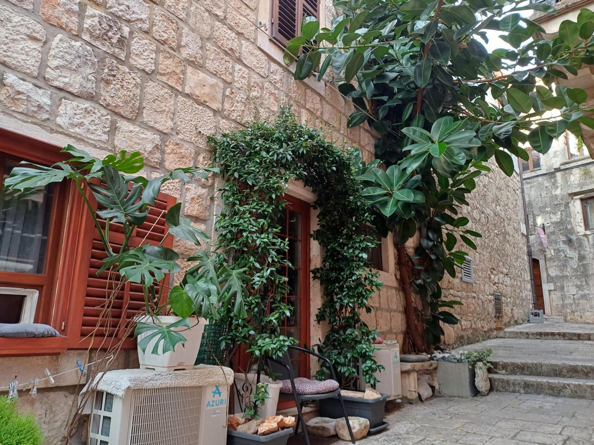 Guest House Jungher Korčula Exteriér fotografie