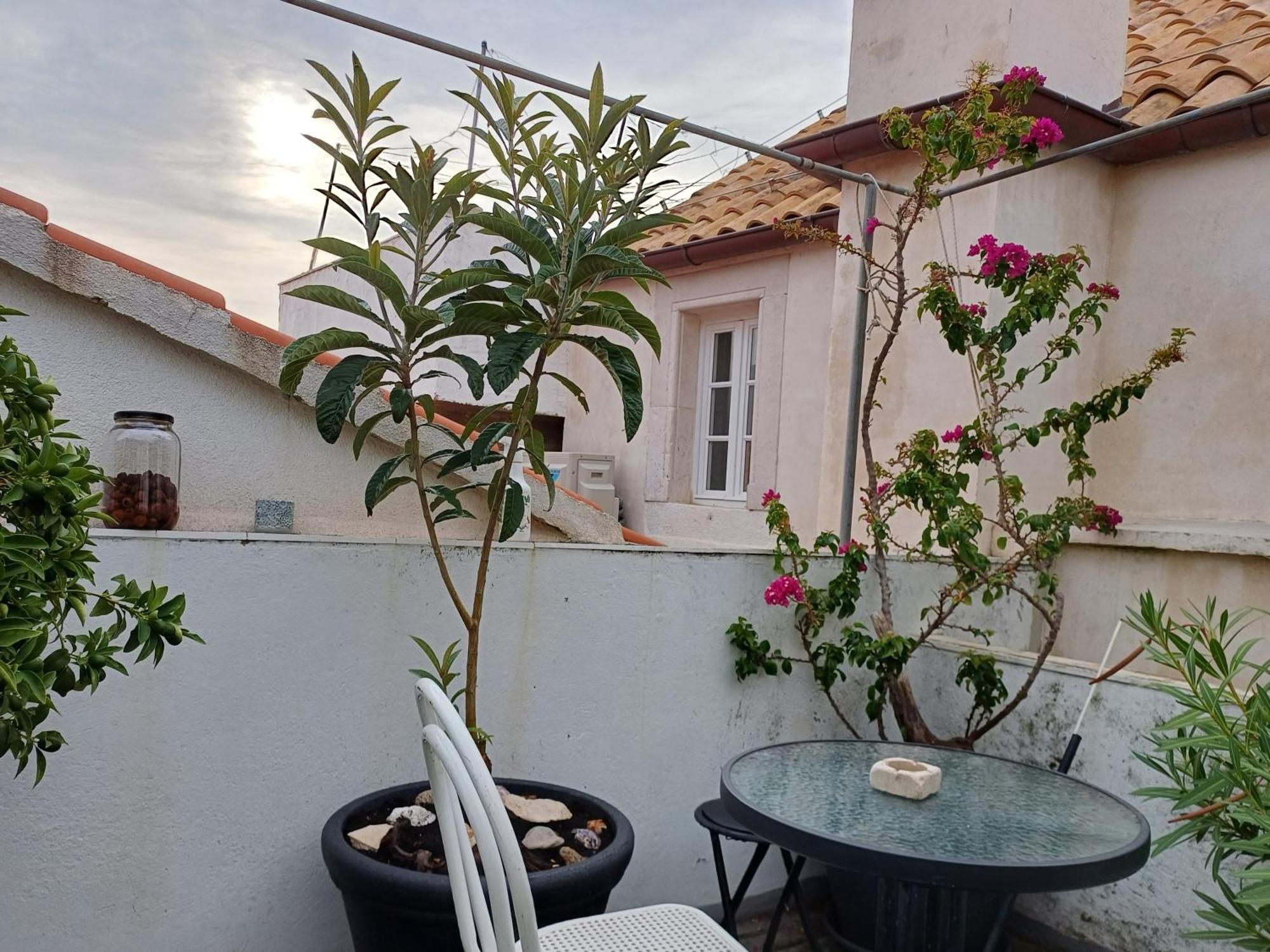 Guest House Jungher Korčula Exteriér fotografie